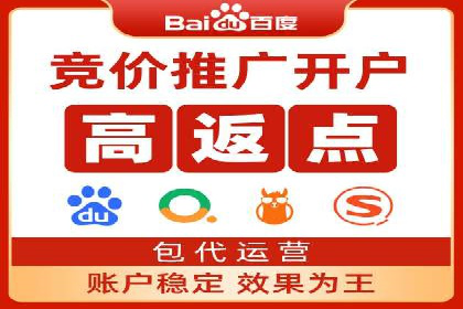 SEM推广案例：从无到有的转变
